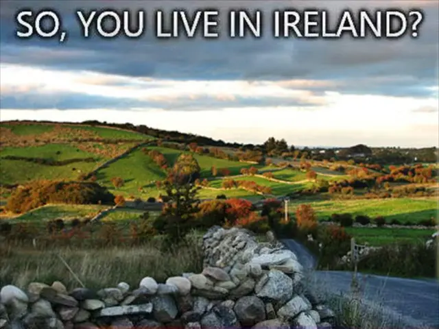 Managing Crisis Situations: Four Family Stories of Surviving Natural Catastrophes