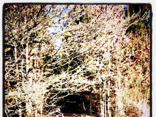 Day of excited exploration and untouched beauty