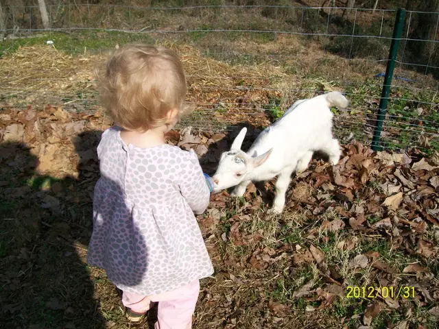 Gathering flies today as per the signs for August 12th: A task at hand