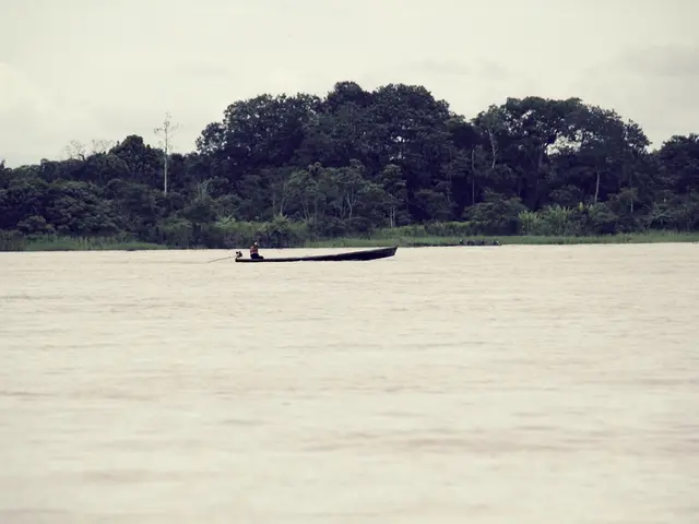 Baltic Sea Water Temperature at Vogelsang-Warsin: A look at the weather conditions today and...