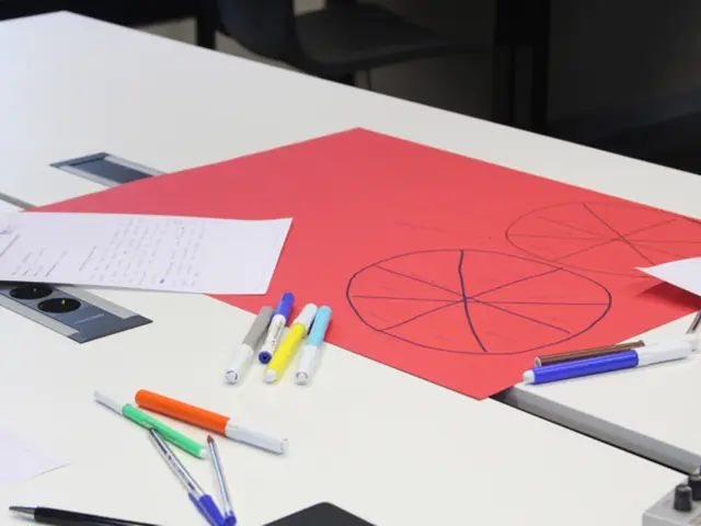 Guide on Producing Animated Visualizations Through Our System