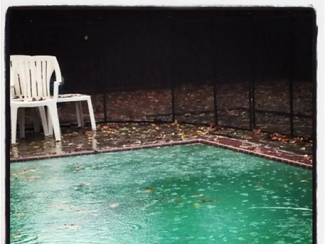 Discovering a new appreciation for potted plants, as demonstrated by Steve Martin's exquisite pool...