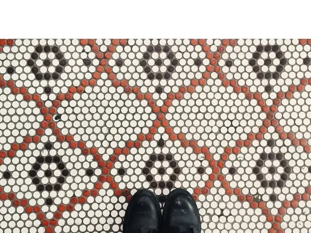 Women's Outdoor Footwear: Fashionable Options for Any Expedition; Best Choices to Explore