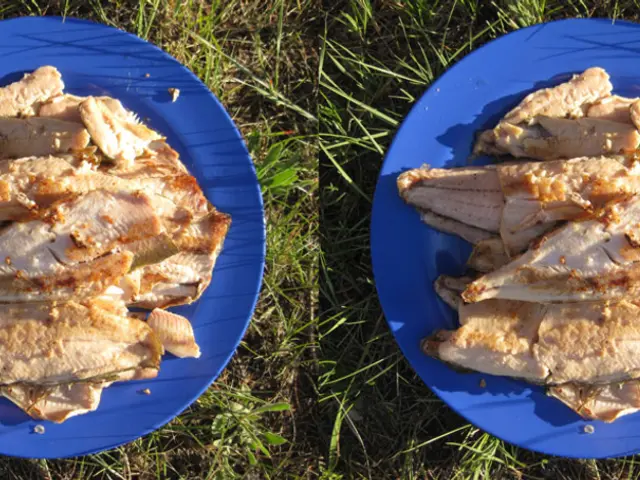 Founder Delighted to Include a New Presentation Slide