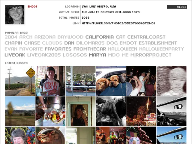 Image Characteristics: Typeface, Dimensions, and Styling