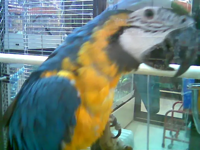 Aircraft Shelter Open to Public Visits