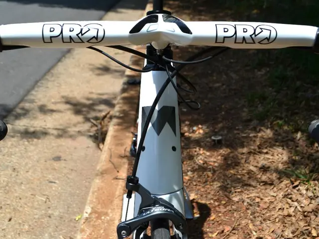 Construction of a new bike path connecting Schiersteiner Hafenweg and Biebricher Uferstraße