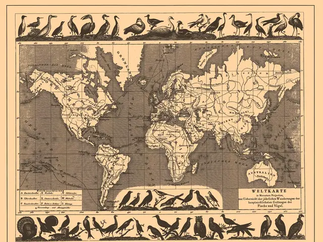 Celebrate World Photography Day 2023 - Showcase of Spectacular Snaps Submitted by Readers