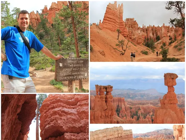 Exceptional photograph capturing a rare, 144-year occurrence ceremony brings acclaim to the...