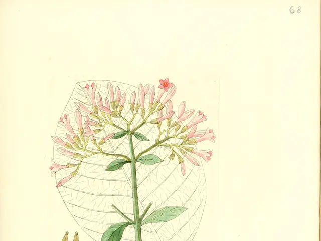 Significance of Edge Zones in Sustainable Agriculture (Permaculture)