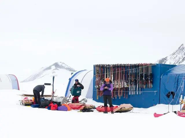 Exploring the Thrill of Winter-based Enterprises