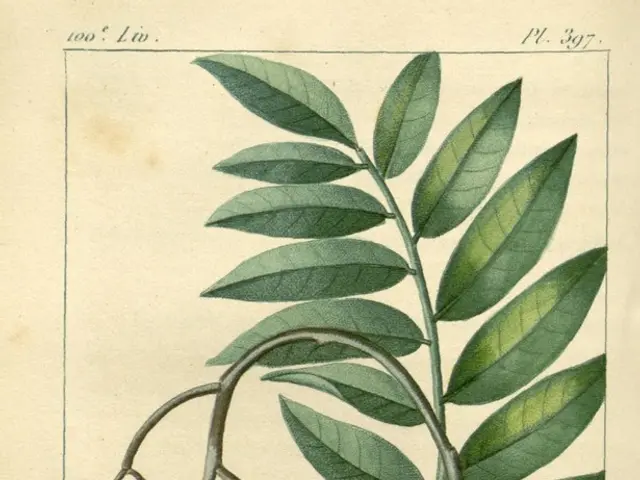 Twelve notable garden umbrellas for summer chic: blending modern and vintage flair