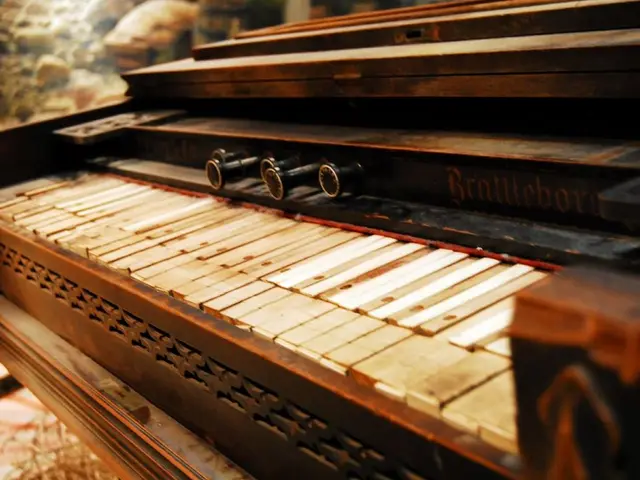 Expanded Music Wing at Bottrop School Echoes with Resonant Tunes