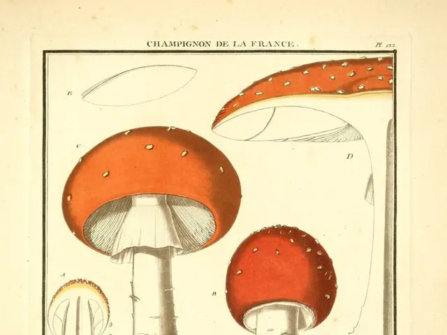 Top 30 Notable Mushroom Art Concepts Worth Exploring