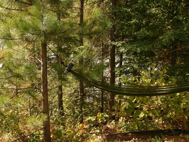 Purchasing Bulk Landscape Fabric for the Coming Spring Season