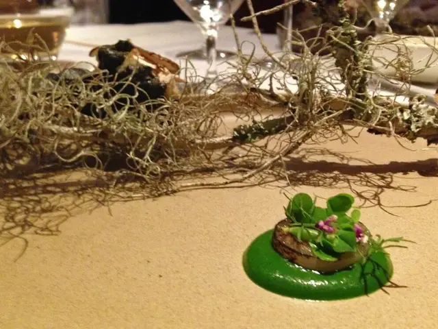 European Court for the Integration of Nations