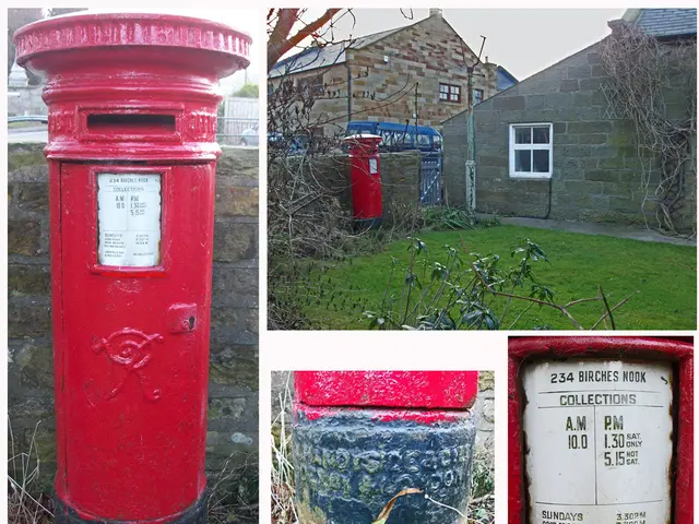 Guide to Changing Hydrangea Hues: Expert Advice for Vibrant Blossoms