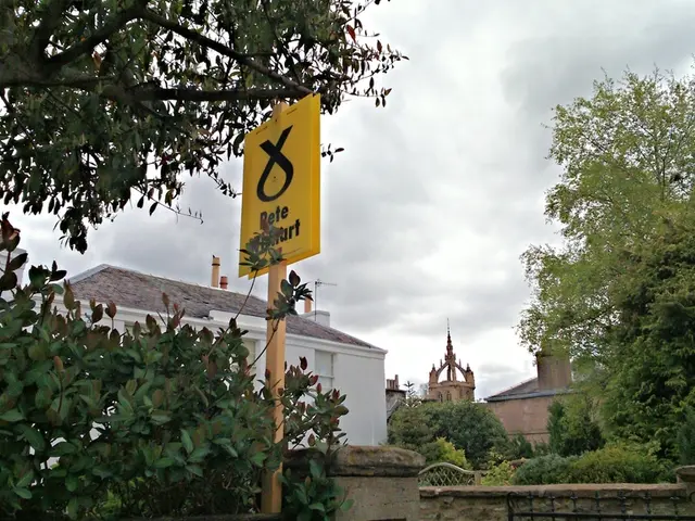 Brown shades have emerged as my preferred hue – explore my reasoning and tips for maximizing their...