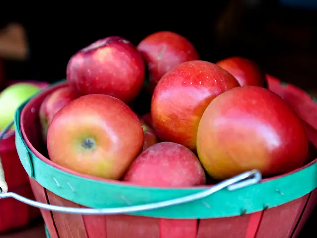 Roasting Apples Over a Campfire