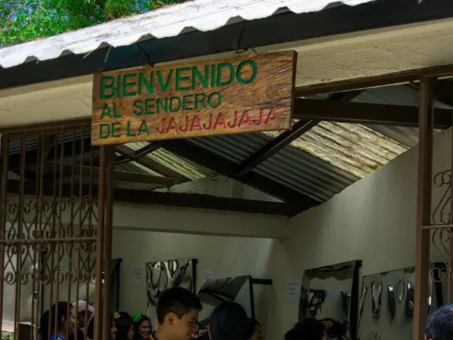 Achieving triumphs amid turmoil: the role of A&M entrepreneurship consultancy in guiding businesses...