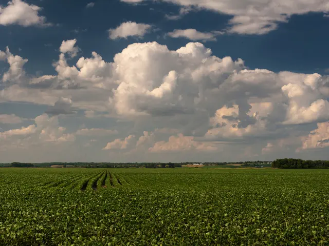 Advancement at Archway Homes to Drive Green Projects