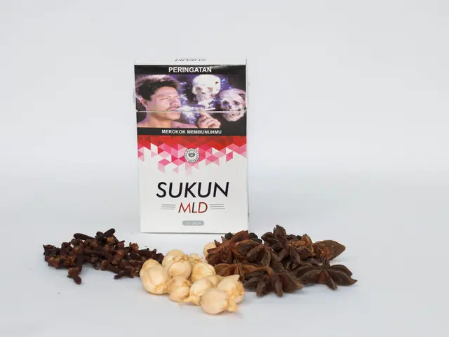 Discover the Art of Raku Pottery Mastery: A Comprehensive Guide on Raku Pottery Techniques