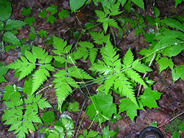 Pioneering India's Green Movement: CII Green Business Centre Leads the Way in Environmental...