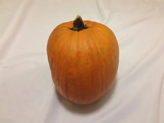 In this image there is a table with a tablecloth on it and there is a pumpkin on the table.