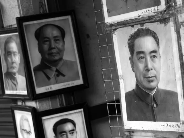 In this image there are photo frames hanged on the wall and metal mesh.