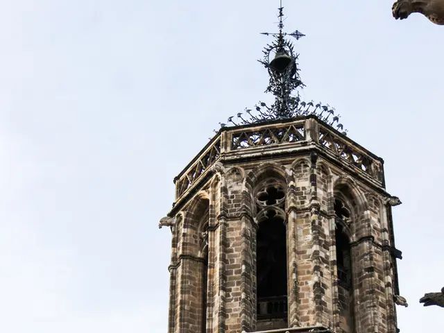In this image there are buildings, on top of the buildings there are statues.