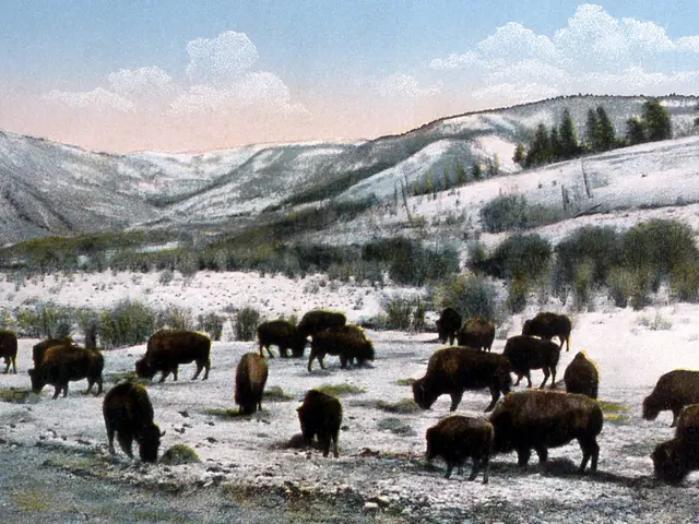 This picture shows a painting. We see few animals and trees, hills and a cloudy sky.