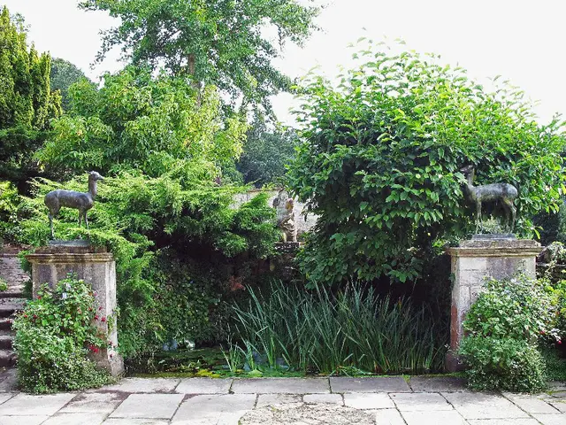 In this picture there is greenery in the center of the image and there are sculptures on the right...