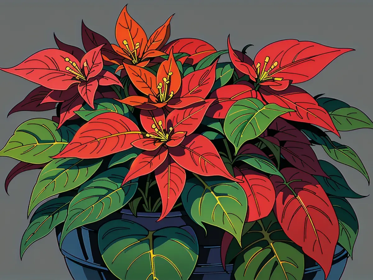 Eight Essential Holiday Decor Items to Acquire from Trader Joe's