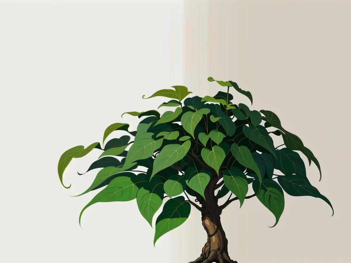 Five Houseplants Believed to Foster Fortune and Positivity